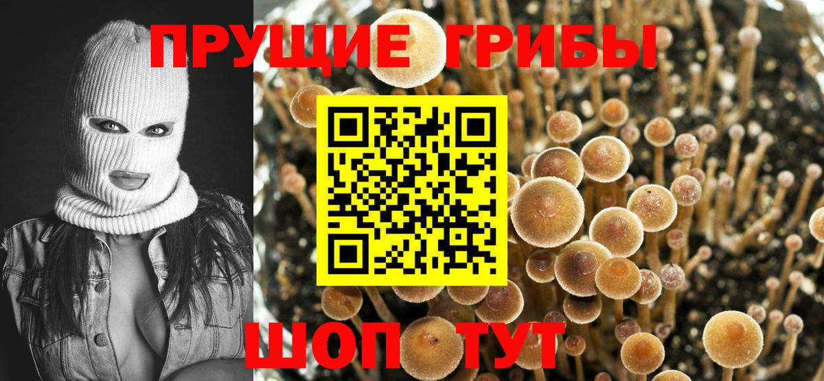 Галлюциногенные грибы мухоморы Аша